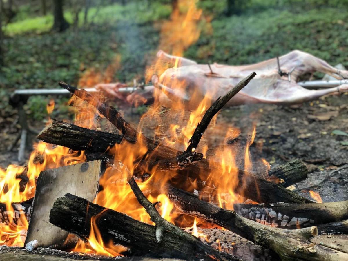 Baranja Black Hill'S Gajic 외부 사진