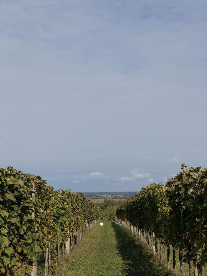Baranja Black Hill'S Gajic 외부 사진