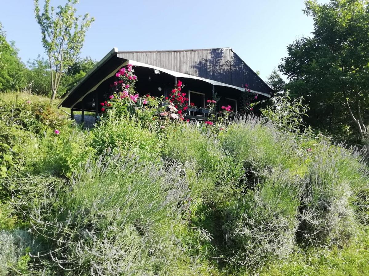 Baranja Black Hill'S Gajic 외부 사진
