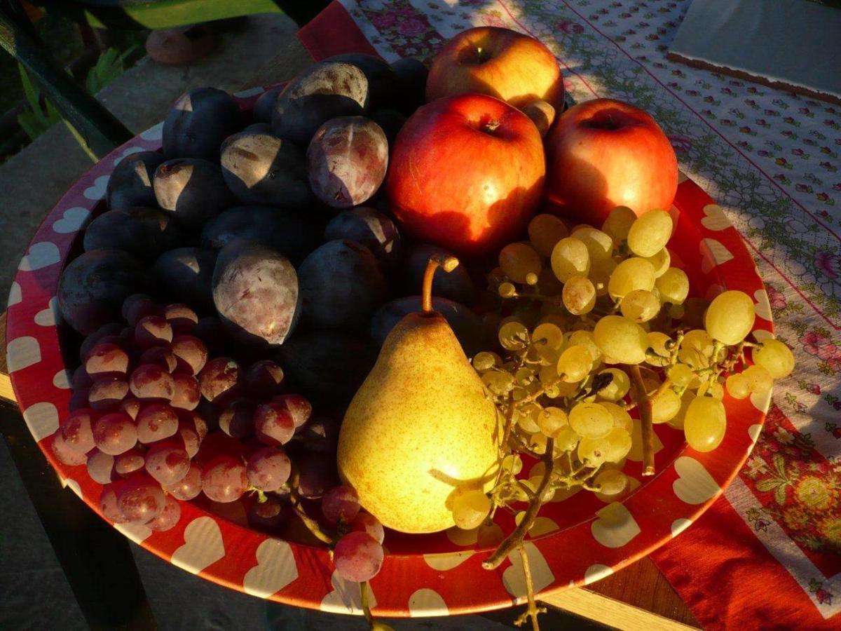 Baranja Black Hill'S Gajic 외부 사진