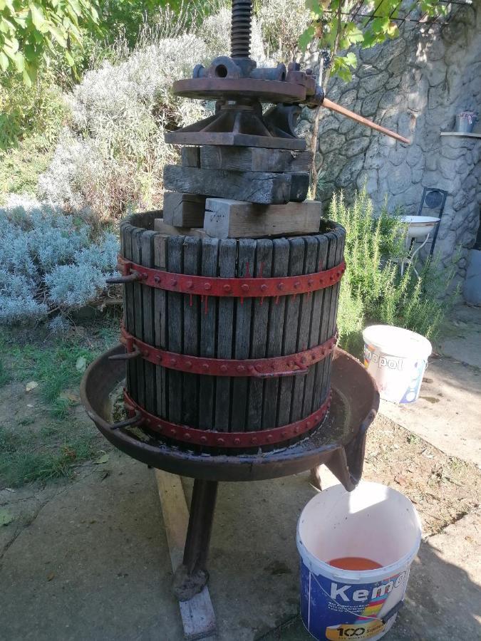 Baranja Black Hill'S Gajic 외부 사진