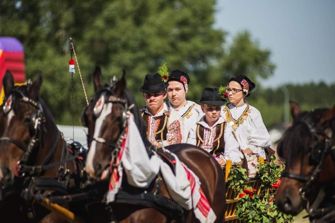 Baranja Black Hill'S Gajic 외부 사진