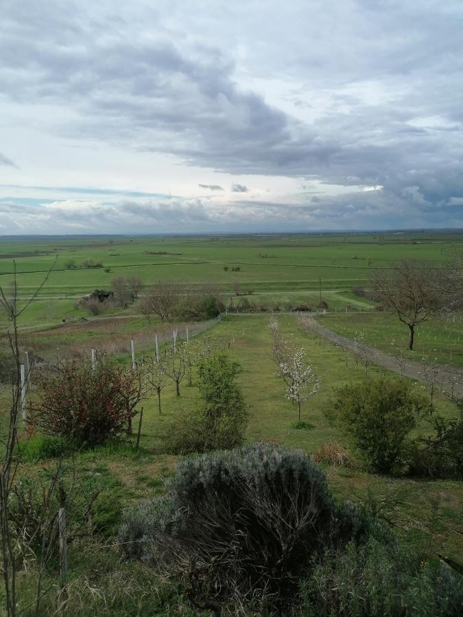 Baranja Black Hill'S Gajic 외부 사진